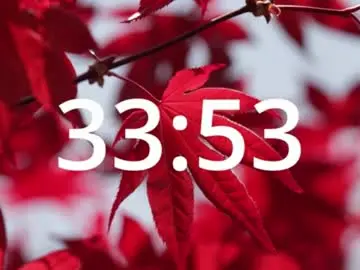 Chaturbate Private Sex Chat of cardrey05