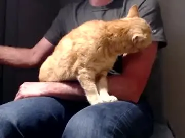 Chaturbate Best live sex cam show of lure4beef