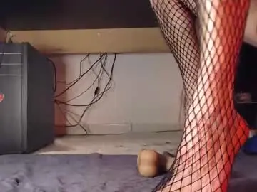 Chaturbate Adult Webcam of hibo66