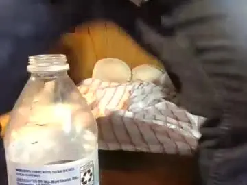 Chaturbate Free Porn Cam of pspee313