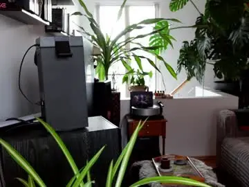 Chaturbate Free Porn Cam of bianca_transpinay