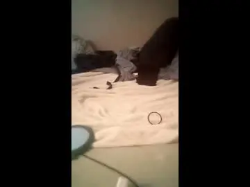 Chaturbate Sex Chat of whetedoyouwantmetoputit