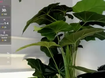 Chaturbate Adult Video Chat of zoebm_