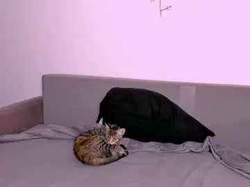 Chaturbate Best Webcam of ladytrep