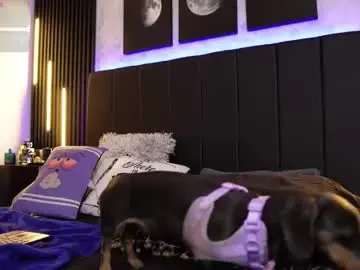 Chaturbate Best Webcam of davidd_blake