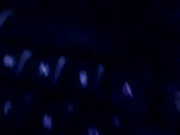 Chaturbate Live Sex Cam of phil55q