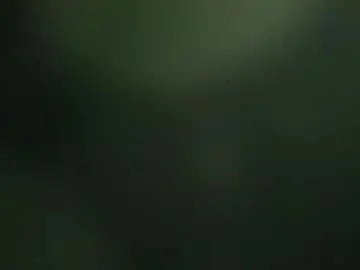 Chaturbate Adult Webcams of bomvemcam