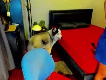 Chaturbate Best Webcam of tssophisticatedx