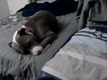 Chaturbate Watch Live Sex Cams of bottomman1990