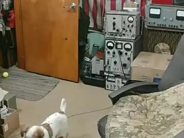 Chaturbate Nude Webcam of randalltotazz