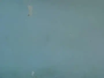 Chaturbate Best Webcam of freakytrixie