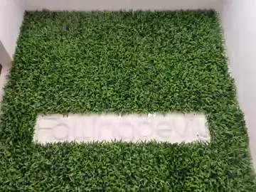 Chaturbate Live Sex of hotfallingdevil