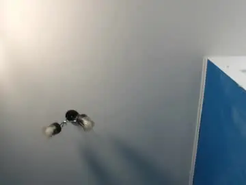 Chaturbate Sex Cam of alex_blu