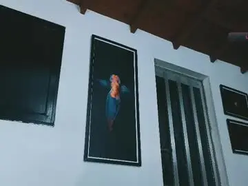 Chaturbate Private Sex Chat of silvabranko