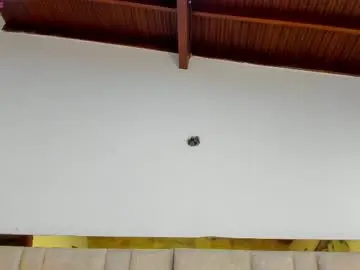 Chaturbate Best live sex cam show of valtira_nova