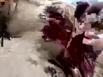 Chaturbate Live Sex Cam of adison95