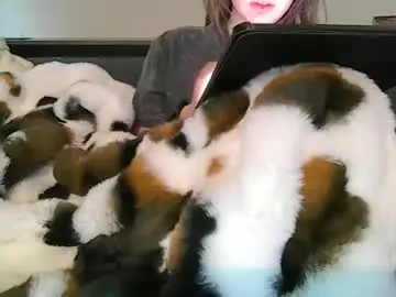 Chaturbate Nude Webcam of alliebearx