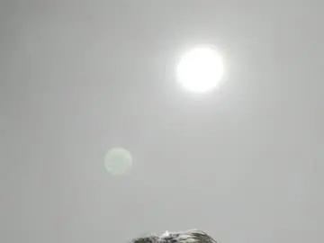 Chaturbate Private Sex Chat of berasteguicogollojuanandres