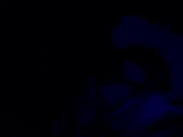 Chaturbate Free Live Porn of hastra358