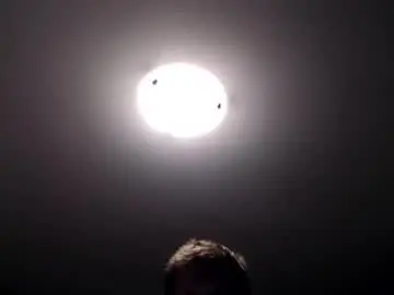 Chaturbate Live Sex Cam of lancehardin
