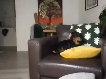 Chaturbate Private Sex Chat of camdoattitude