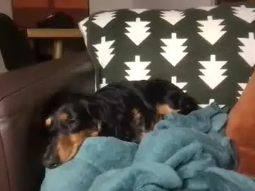 Chaturbate Private Sex Chat of camdoattitude