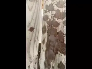 Chaturbate Best live sex cam show of freedombliss