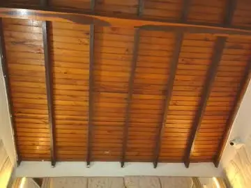 Chaturbate Sex Cam of michaell_twink