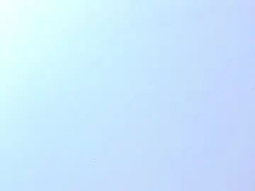Chaturbate Free Porn Cam of brigittemiller
