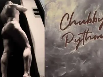 Chaturbate Free Porn Cam of chubbypython