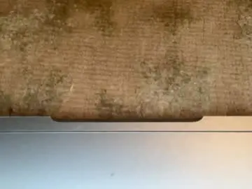 Chaturbate Sex Chat of bigdickwalkin