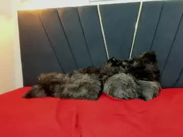 Chaturbate Free Live Porn of bossesoflove_cum