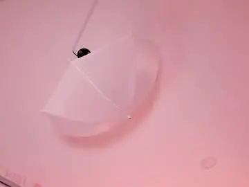 Chaturbate Private Sex Chat of millieskinny_