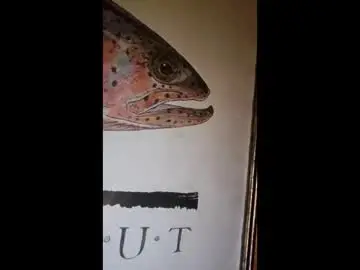 Chaturbate Best live sex cam show of toddpascoe77