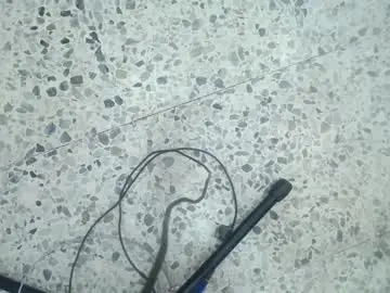 Chaturbate Sex Cam of moxa_hot