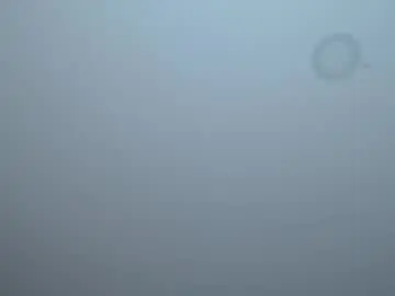 Chaturbate Free Live Porn of andrew_courtz