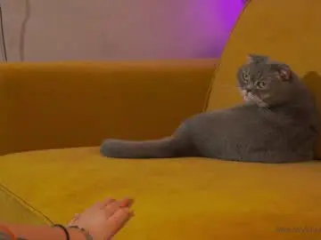 Chaturbate Free Live Porn of emma_land