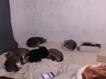 Chaturbate Adult Webcams of olivia_redd