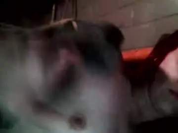 Chaturbate Live Sex of victoriasecret84