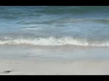 Chaturbate Free Live Porn of louis_zh