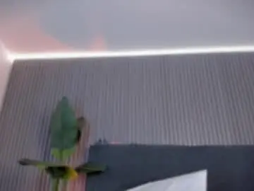 Chaturbate Sex Chat of emelie_89