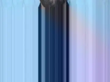 Chaturbate Adult Webcam of corolaxxl