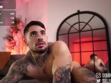 Chaturbate Private Sex Chat of dominic_sullivan1