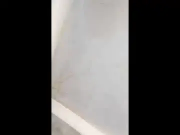 Chaturbate Free Porn Cam of iamfucker1