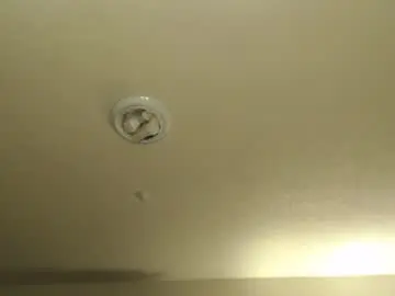 Chaturbate Adult Webcams of nikkimasters1091