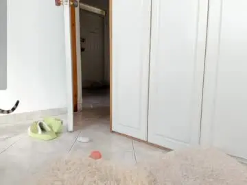 Chaturbate Sex Chat of halliee