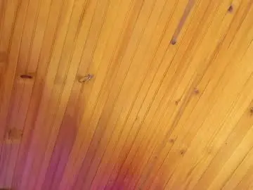 Chaturbate Nude Webcam of irisbeel