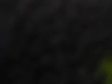 Chaturbate Best Webcam of aisharouhi