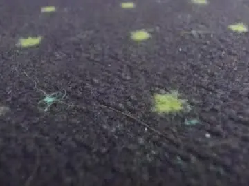 Chaturbate Live Sex Cam of aisharouhi