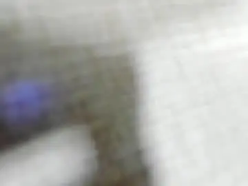 Chaturbate Free Porn Cam of aisharouhi